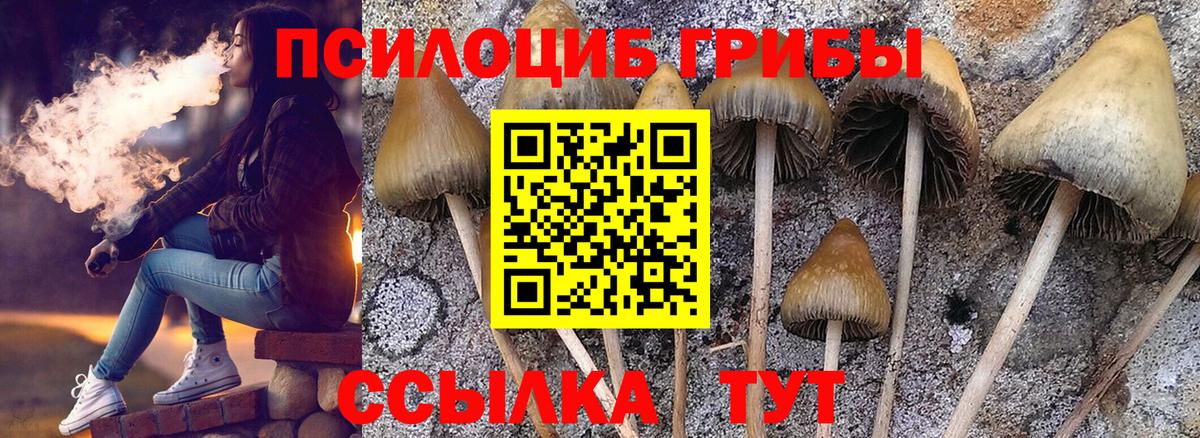 Псилоцибиновые грибы MAGIC MUSHROOMS  где купить   Вход с VPN  Кандалакша  Псилоцибиновые грибы прущие грибы 