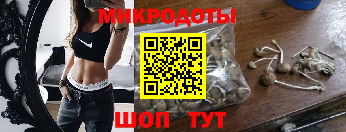 Галлюциногенные грибы прущие грибы Кандалакша